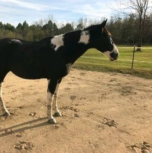 Meet your Posher, Karen